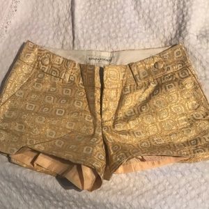 Banana Republic shorts